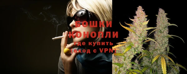 молекула духа Семилуки