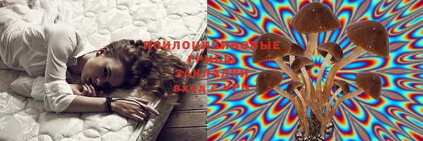 таблы Богданович